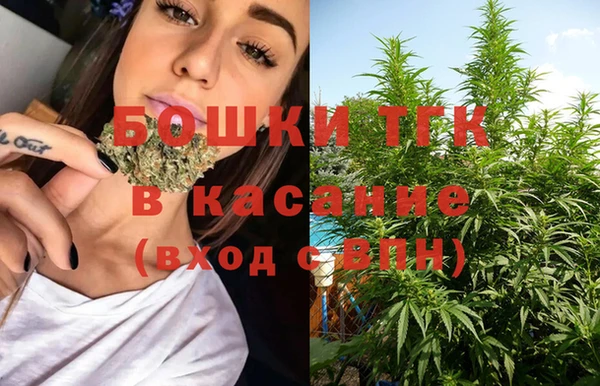 ПСИЛОЦИБИНОВЫЕ ГРИБЫ Костерёво