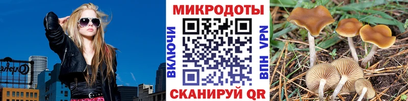 Купить закладки  Островной  Псилоцибиновые грибы ЛСД 